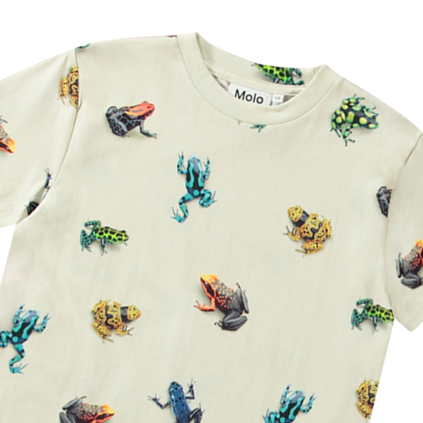 Vibrant Frogs Tee