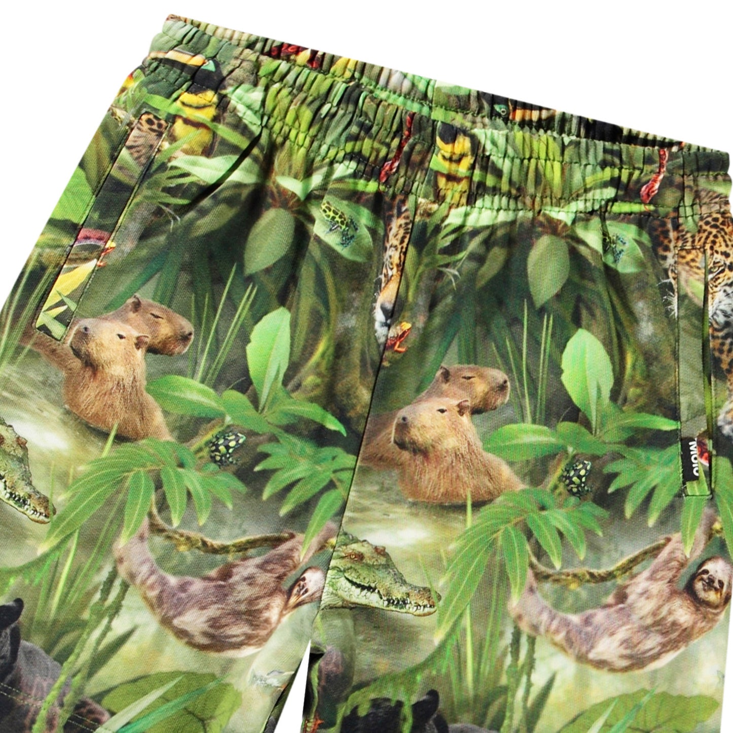 Jungle Animal Shorts