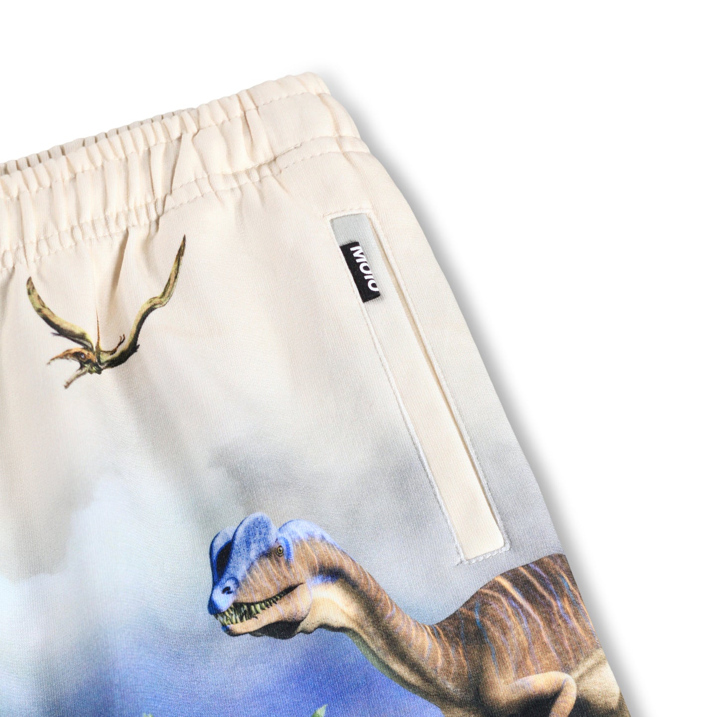 Hot Spring Dino Shorts