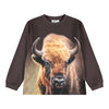 Bison Encounter Sweatshirt