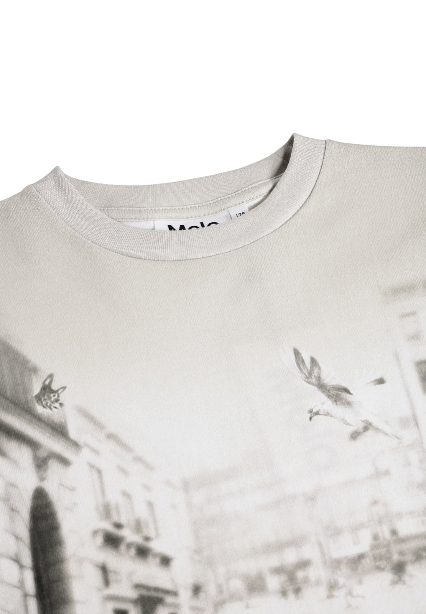 Curio-city Dogs Tee