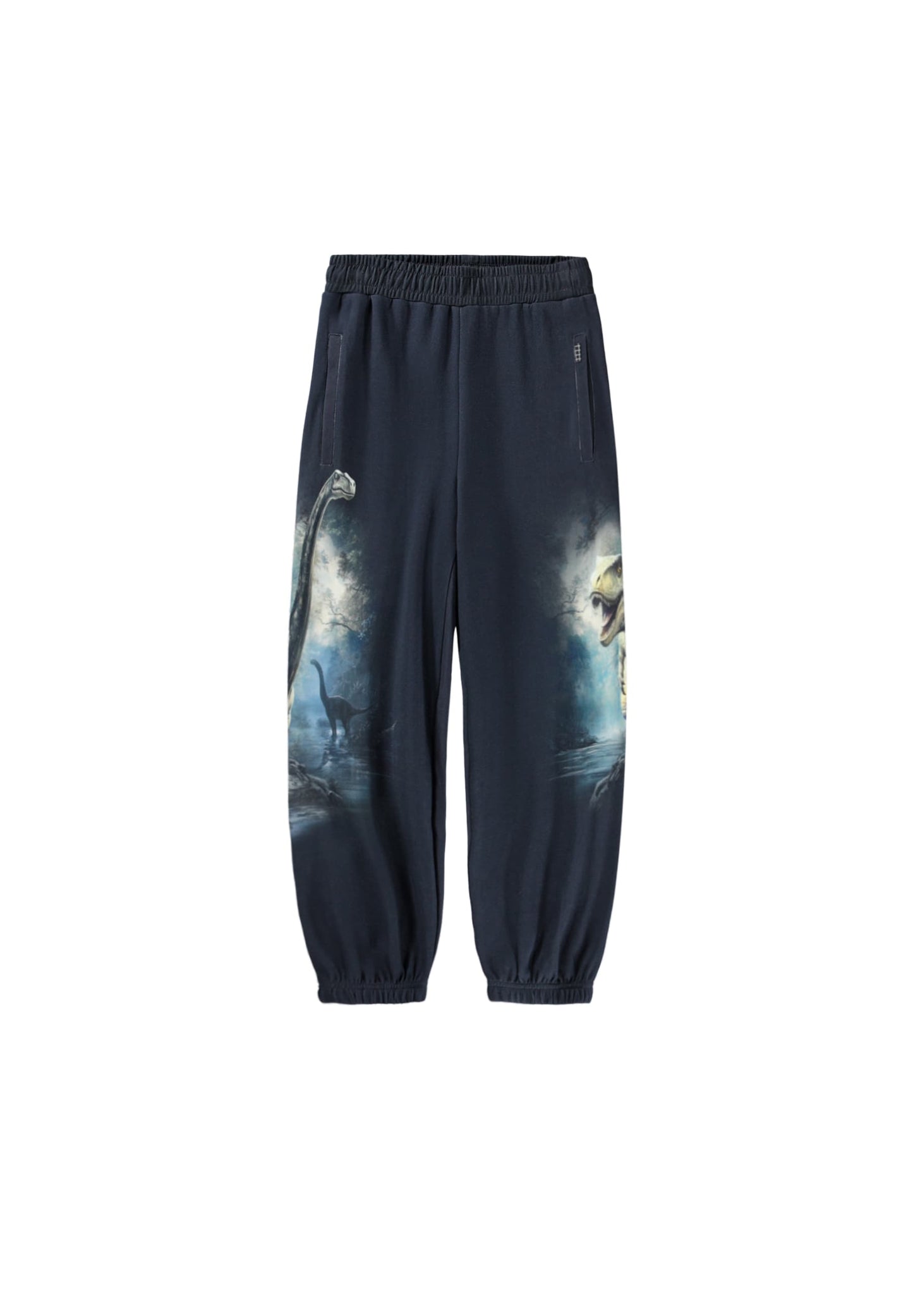 Twilight Dinos Sweatpants