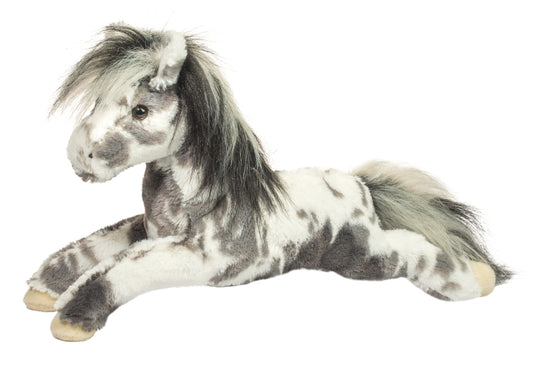 Starsky Appaloosa Horse