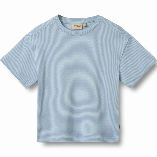 Blue striped t-shirt on a white background
