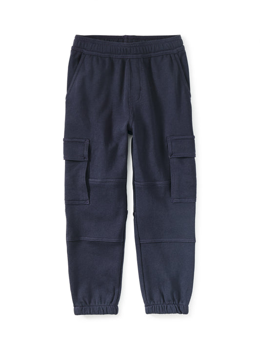 Navy blue cargo pants on a white background