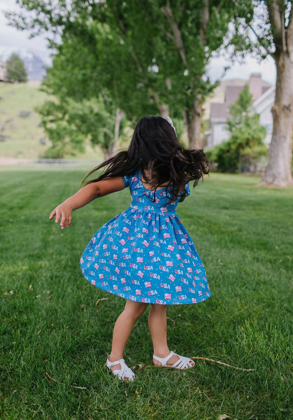 USA Print Day Dress