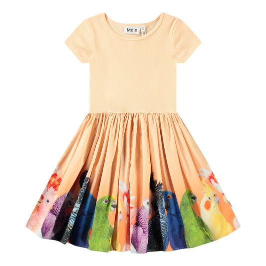 Rainbow Parrots Cissa Dress