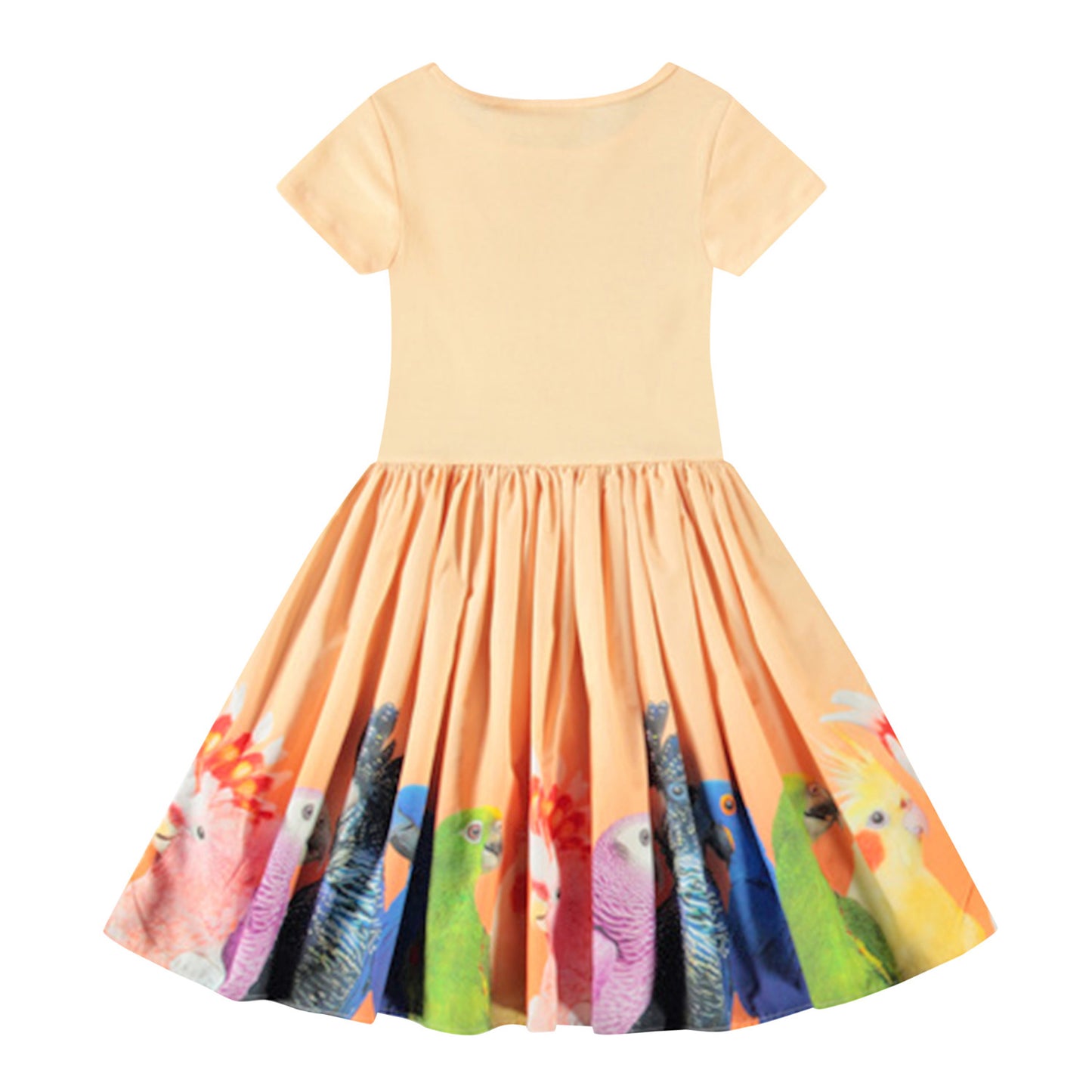 Rainbow Parrots Cissa Dress