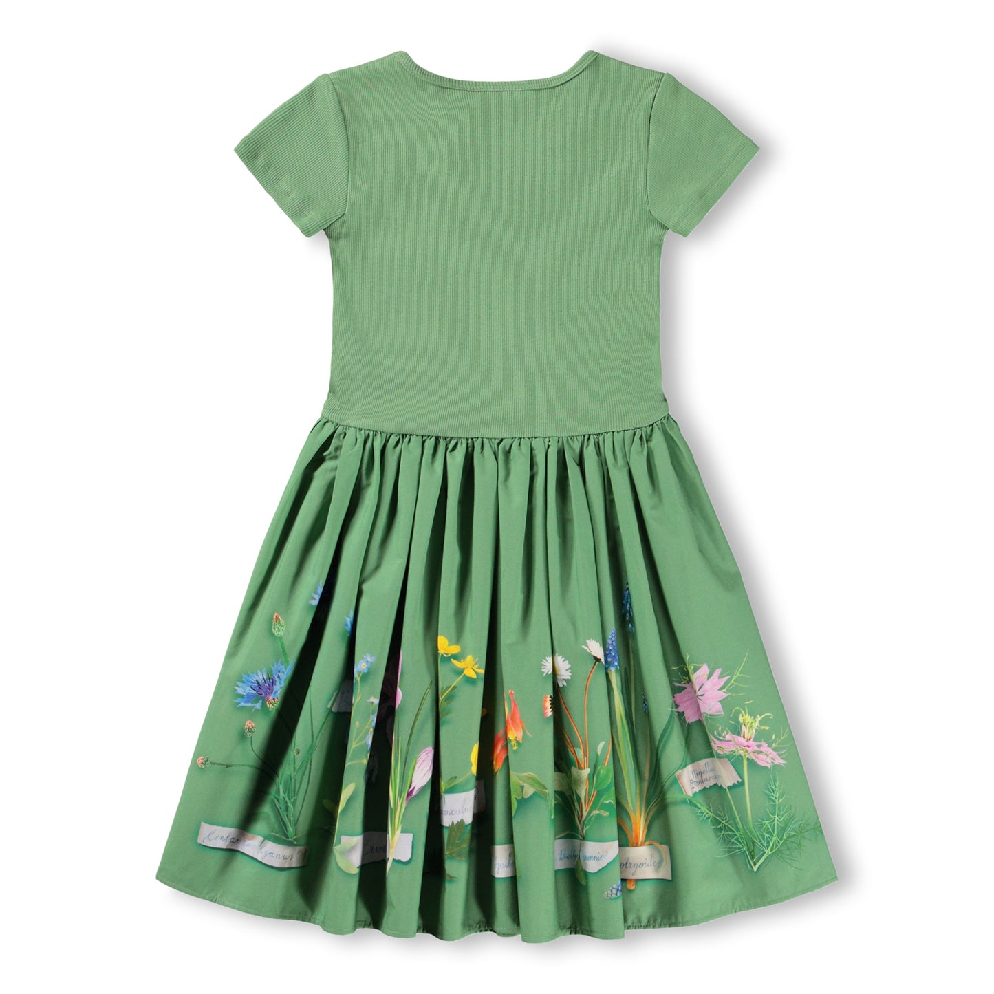 Flora Collector Cissa Dress