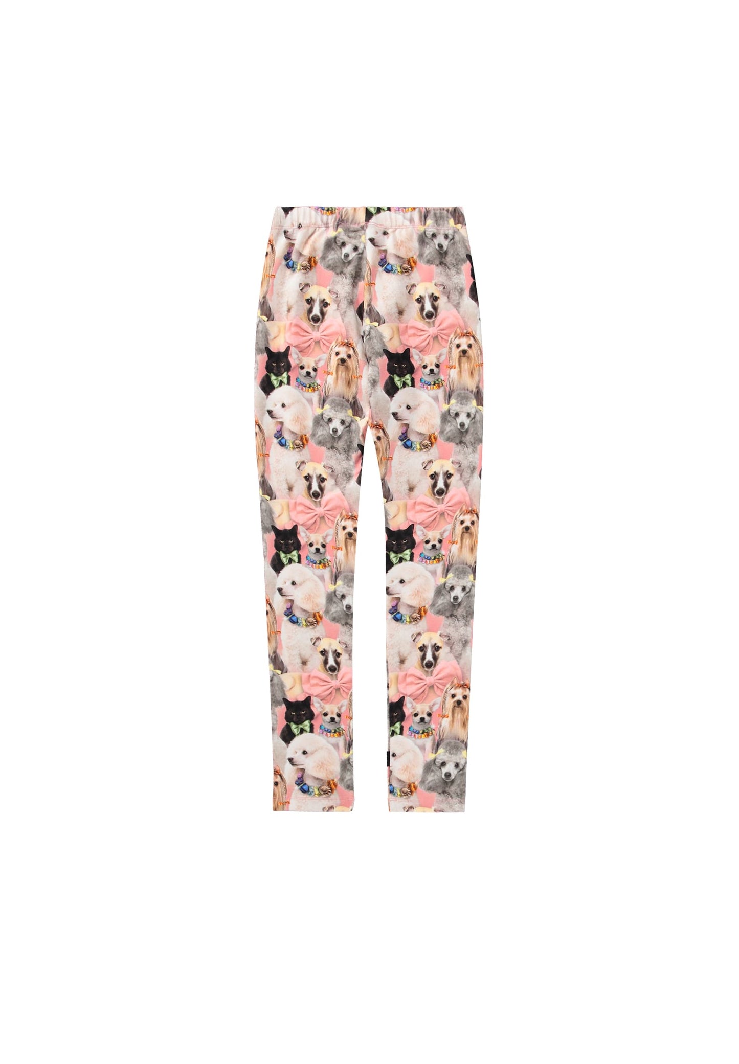 Fancy Dogs Leggings
