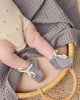 2 Pk Bodysuit Slate Stripe Celestial - studio shot