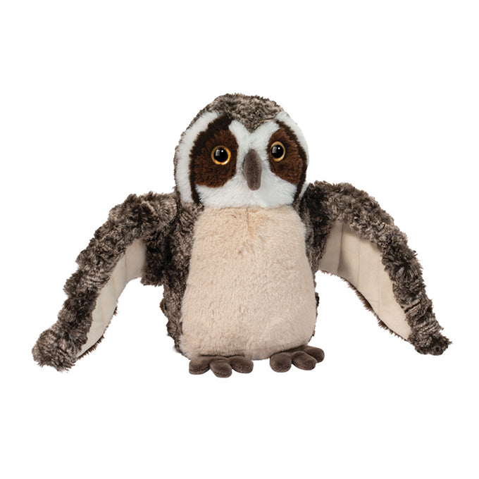 Echo Owl