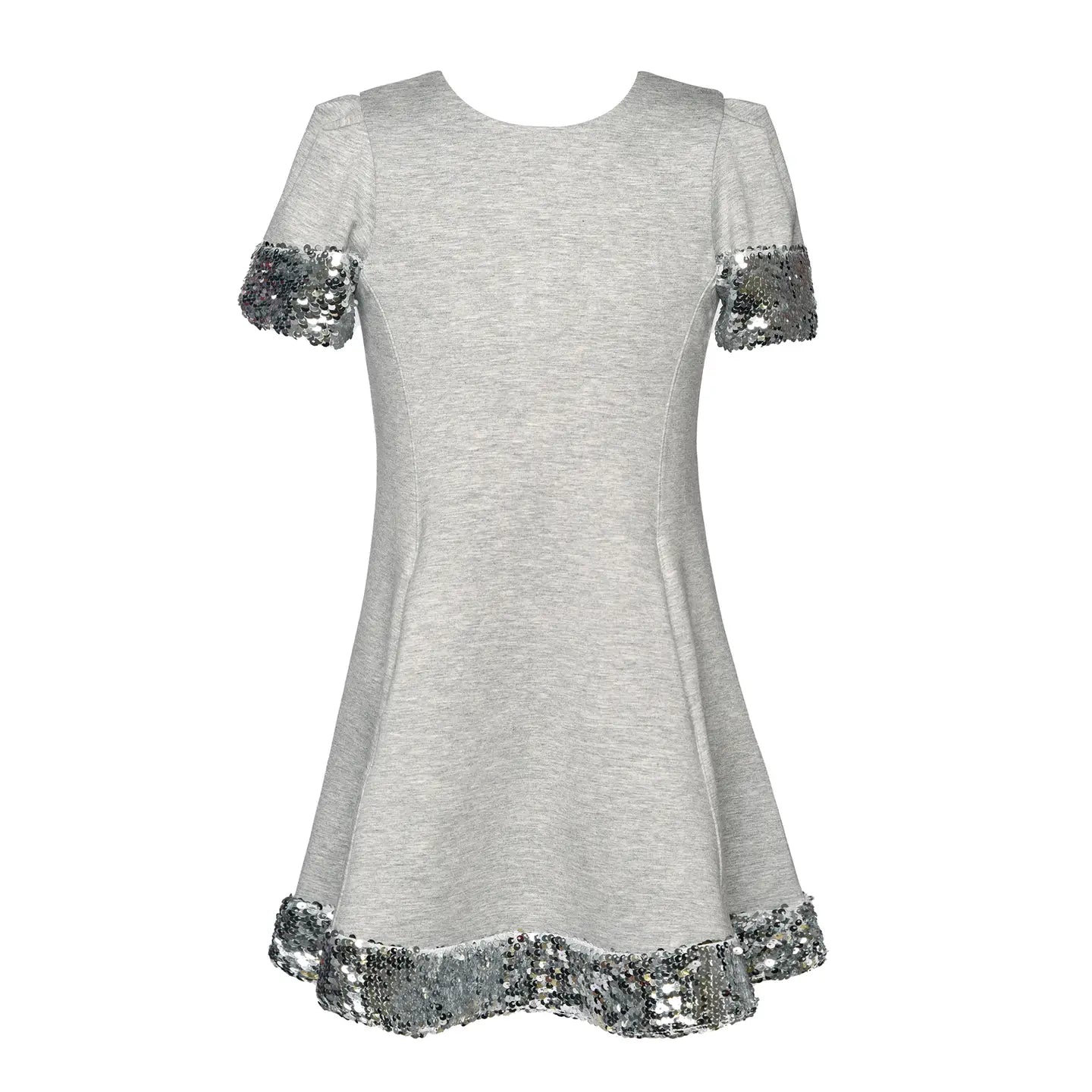 Silver Sequin Trimmed Flare Dress