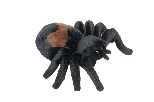 Sneakie Spider