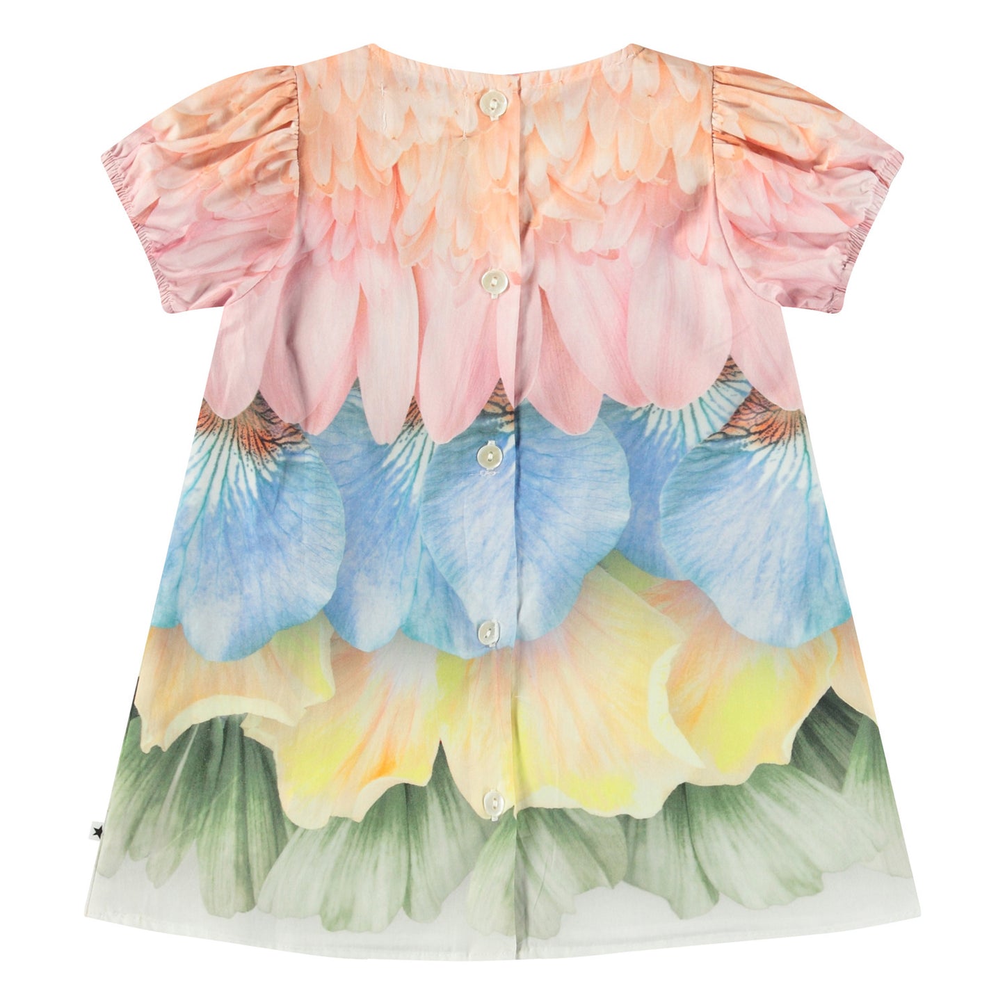 Petal Rainbow Caja Dress