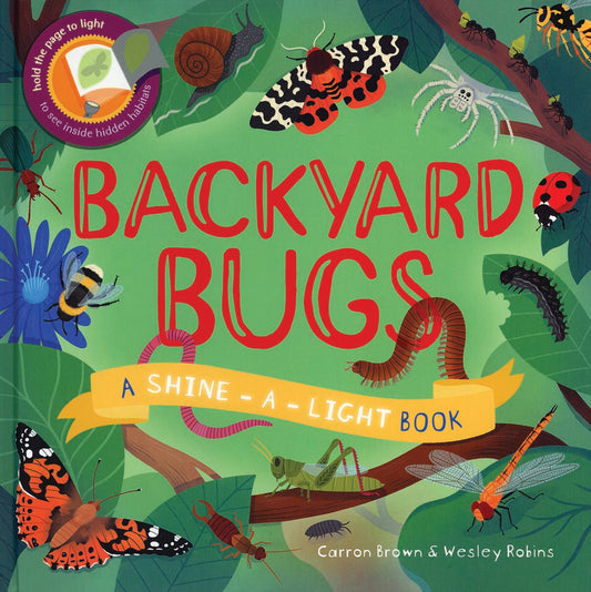 Shine A Light Backyard Bugs