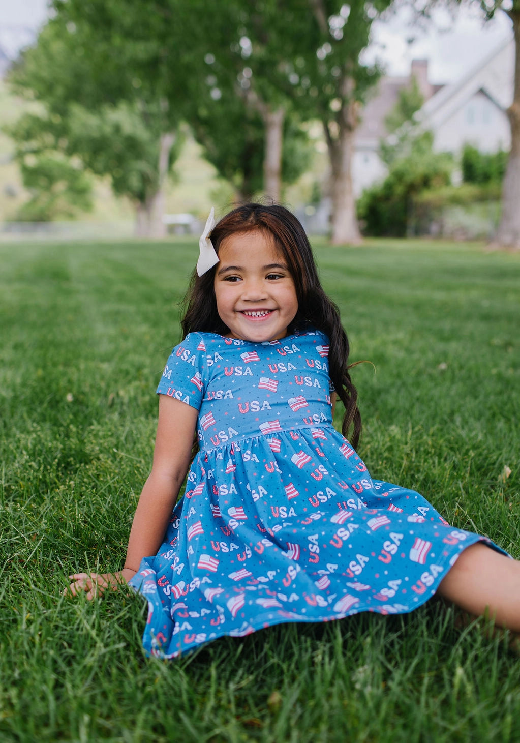 USA Print Day Dress