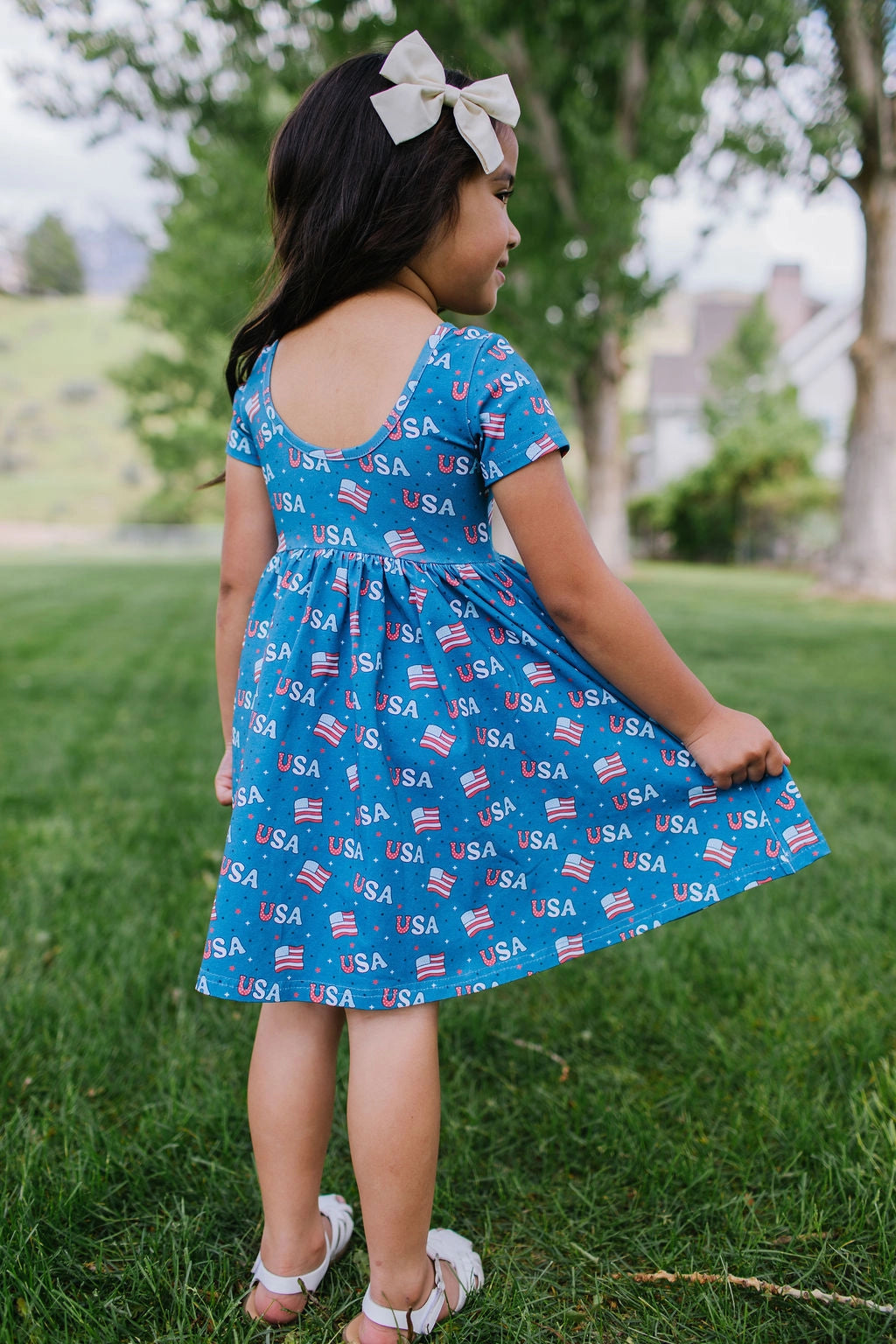 USA Print Day Dress