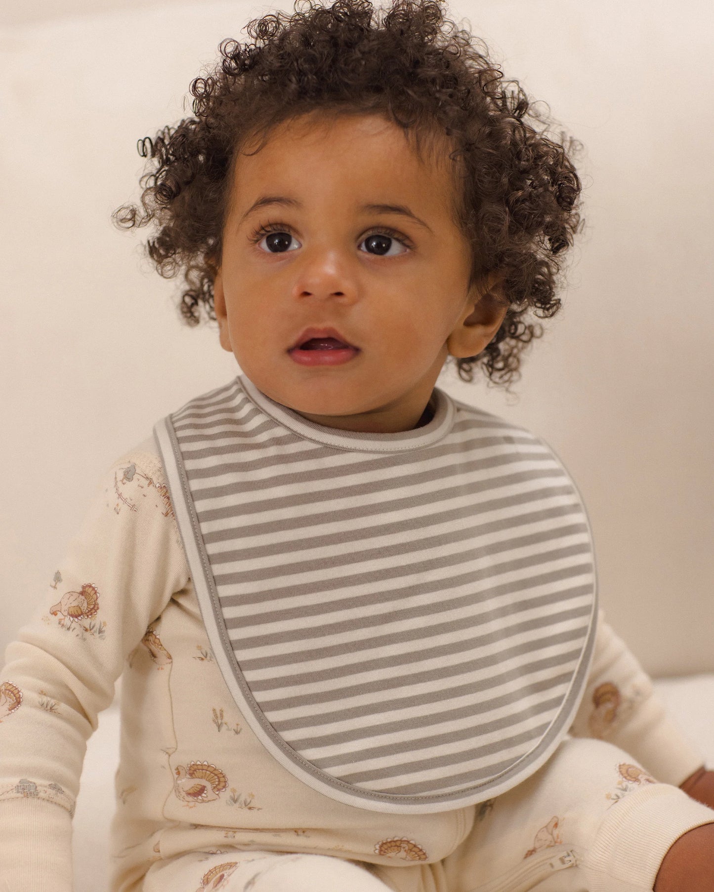2 pk Bibs: Laurel Stripe & Turkey