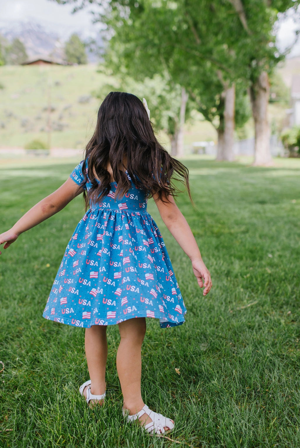 USA Print Day Dress