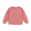 Pink Mountains Calling Hoodie