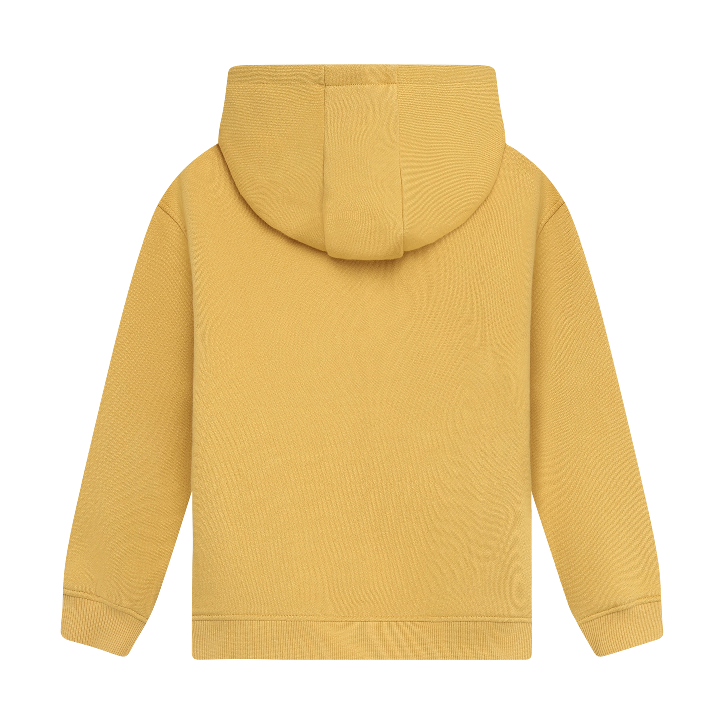 The Ride Begins Hoodie in Fall Leaf, back view