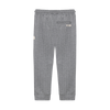 Stripe Pants in Magnetite, back view