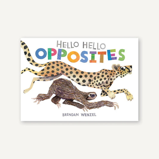 Hello Hello Opposites Board Book