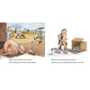 Charlotte's Web Board Book