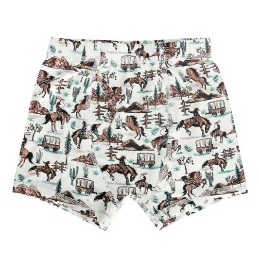 Boys boxer briefs with horse and wagon pattern