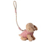 Puppy Rose Harness Set