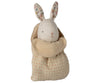 Mini Bunny-Nature