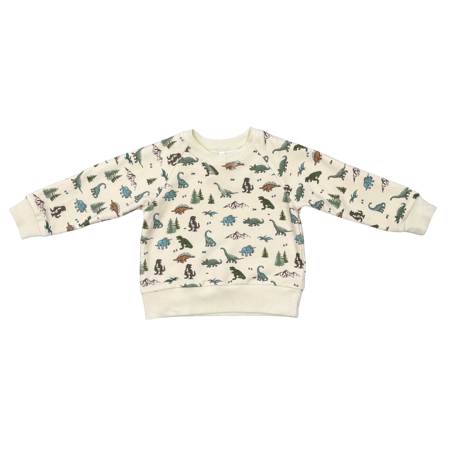 Children's sweatshirt with dinosaur pattern on a white background