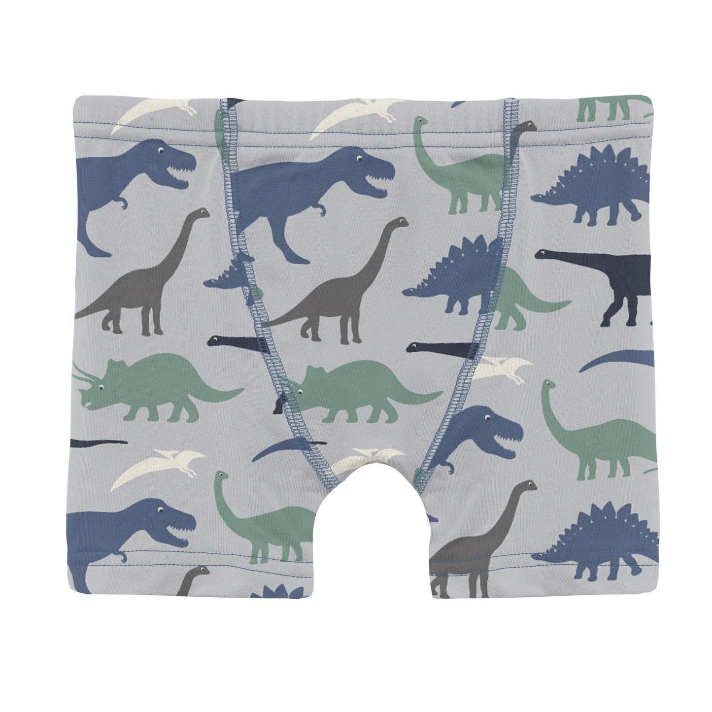 Boxer briefs with dinosaur pattern on a white background