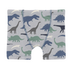 Boxer briefs with dinosaur pattern on a white background