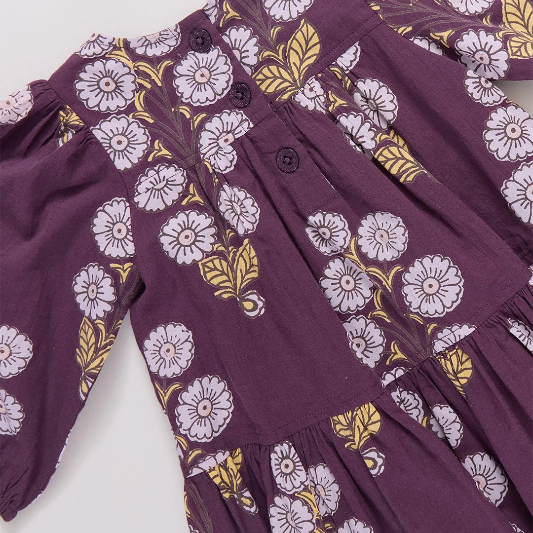 Plum Buttercup Fiona Dress