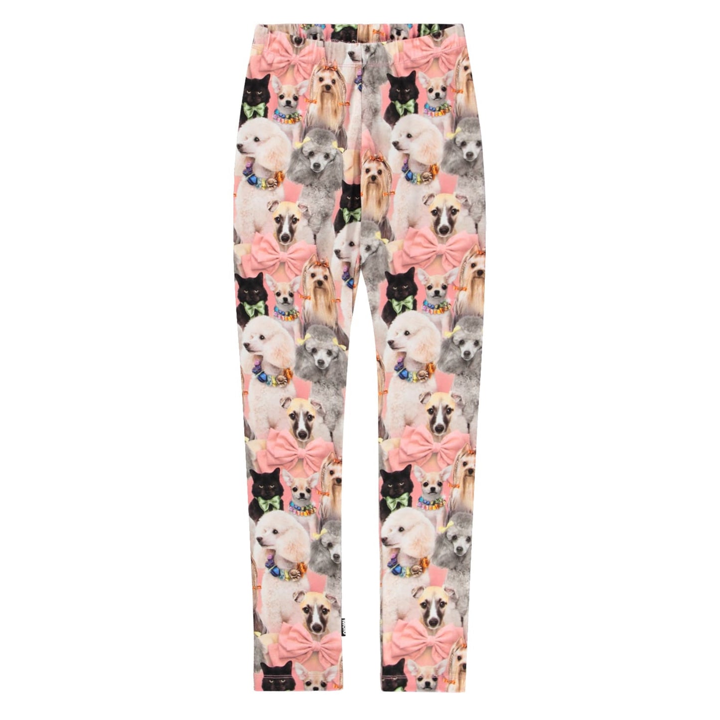 Leggings with dog and bow pattern on a white background