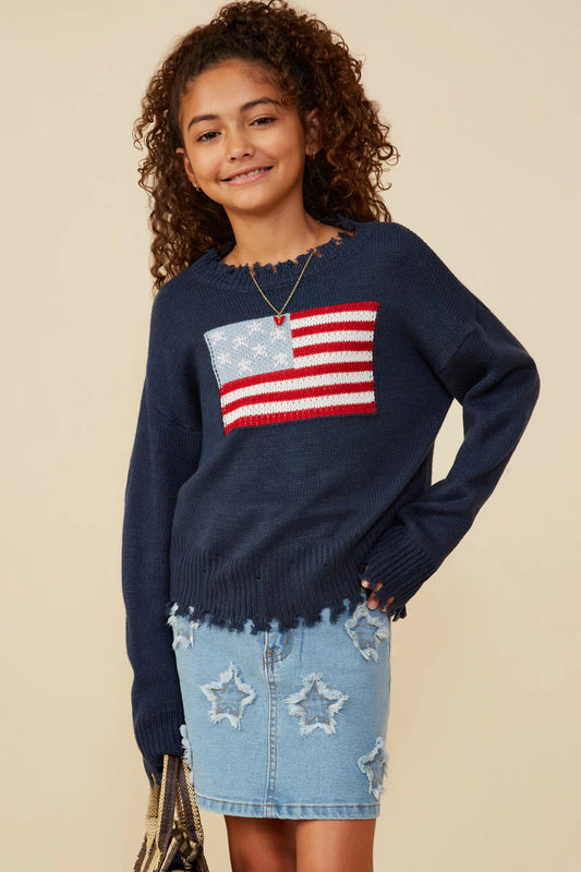 Navy Old Glory Sweater