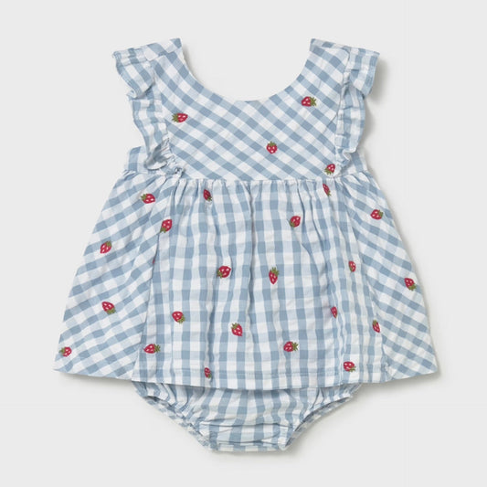 Blue checkered baby romper with red floral patterns on a light gray background