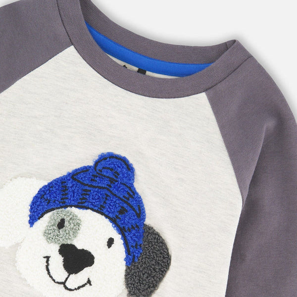 Puppy With Blue Hat Raglan Top