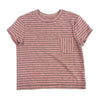 A short-sleeve crewneck t-shirt with horizontal stripes in dusty rose and dark brown, featuring a vertical striped chest pocket on the left side, laid flat against a white background.