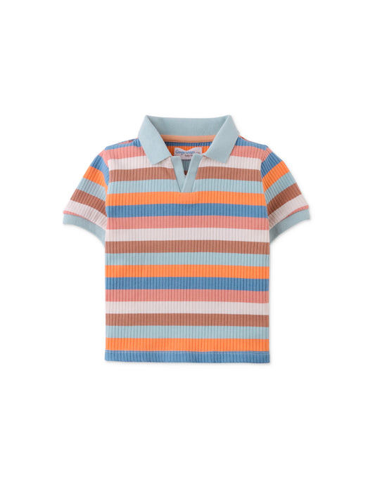 Multi Stripe Rib Polo