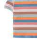 Multi Stripe Rib Polo