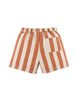 Camel Stripe Shorts