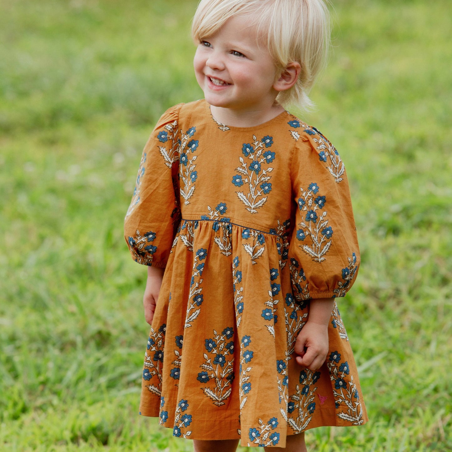 Harvest Dewdrop Brooke Set