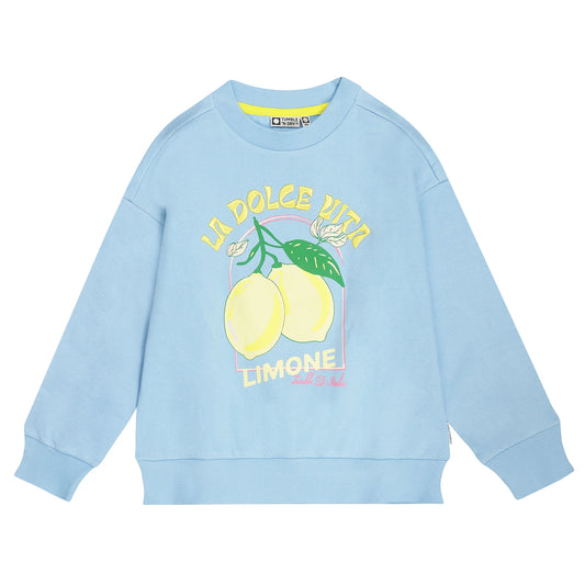 Light blue sweatshirt with lemon embroidered graphic and text 