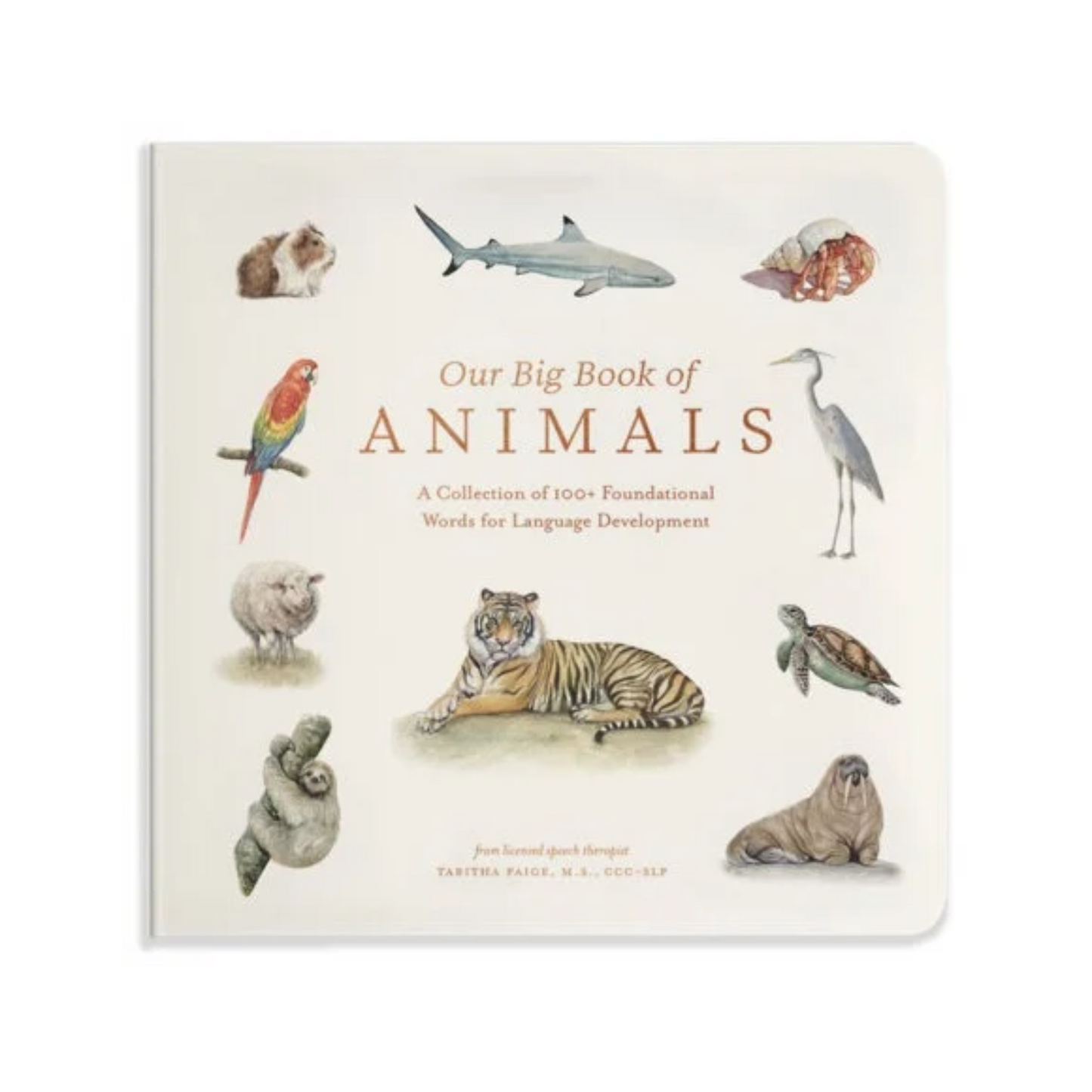 Animal first-words board book for early vocabulary building
