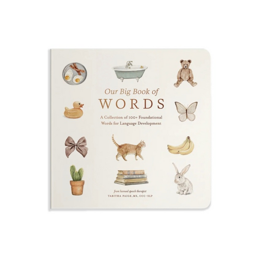 First-words board book for early vocabulary development