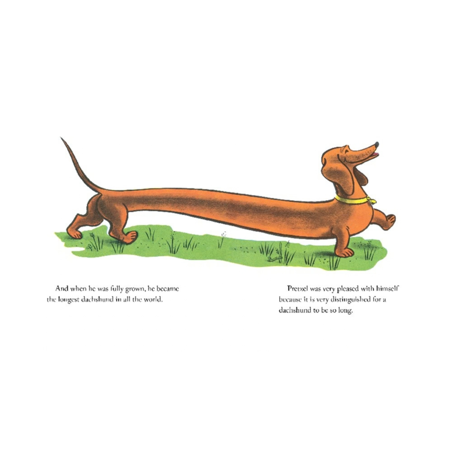 Sweet dachshund story about friendship and individuality