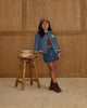 Pleated Denim Skirt